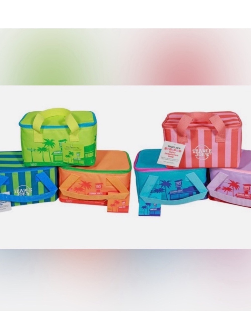 2 Trader Joe’s insulated lunch totes